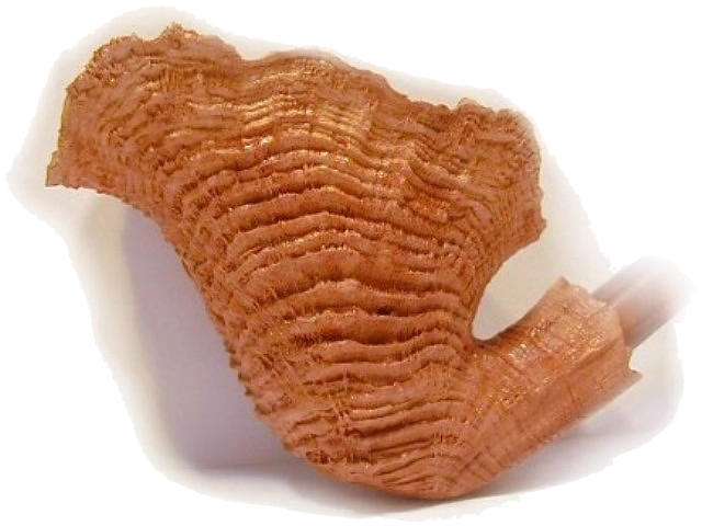 Bo Nordh