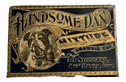 handsome dan
