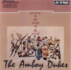 pochette amboy dukes