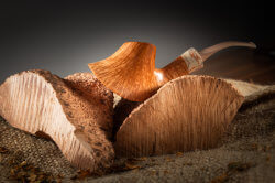 une pipe par Michele Pascolini - Bisonte Pipes