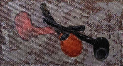 Samuel pipe