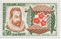 carte postale tabac pipe