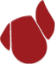 logo Andrea Era - In Fumo Veritas