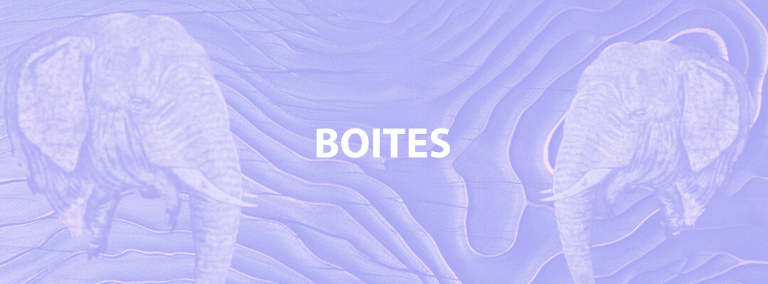 Boites